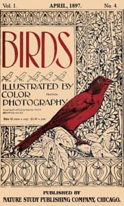 Cover of Birds, Illustrated by Color Photography, Vol. 1, No. 4: April, 1897